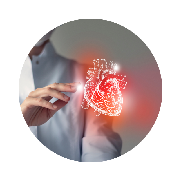 Кардиотокография плода (КТГ)