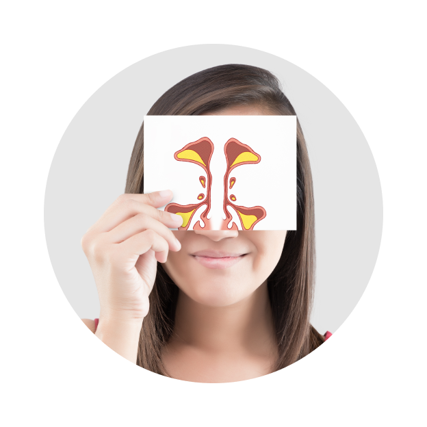 УЗИ пазухи носа