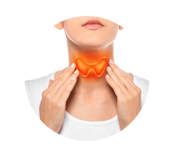 Биопсия щитовидной железы Биопсия щитовидной железы