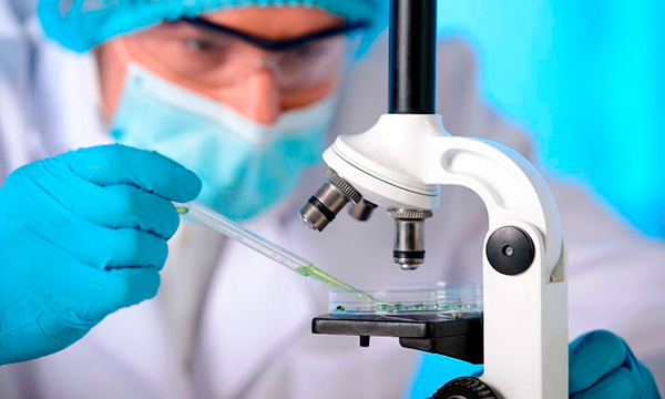 Исследование пункционного материала щитовидной железы Исследование пункционного материала щитовидной железы