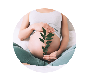 УЗИ определение пола ребенка