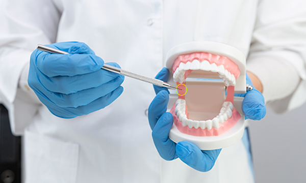 Проводниковая анестезия Проводниковая анестезия