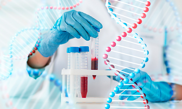 Анализ крови на антитела к бледной трепонеме